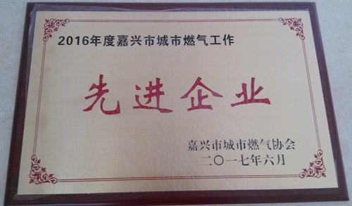 2016年度嘉兴市城市燃气工作先进企业.jpg 2016年度嘉兴市城市燃气工作先进企业.jpg