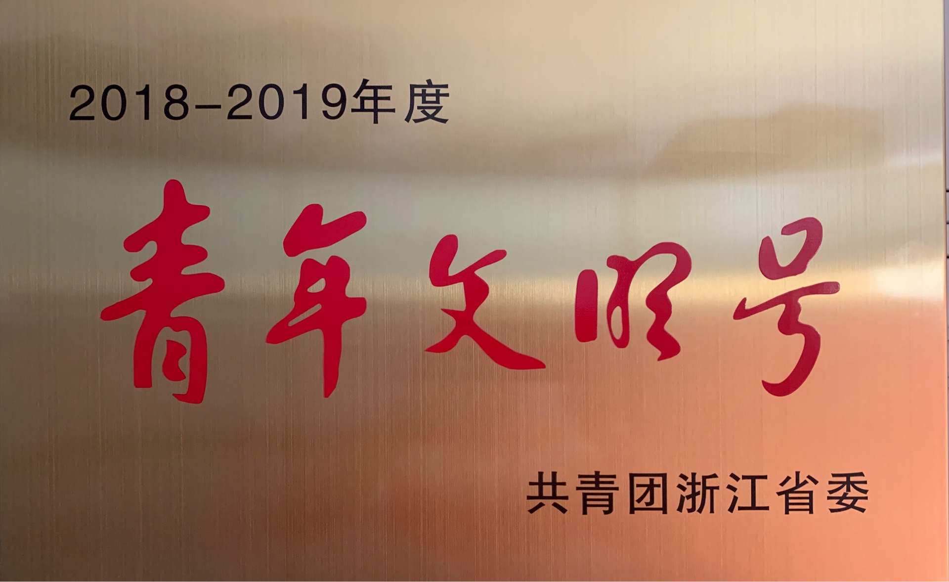 2018-2019年度，被共青团浙江省委授予“青年文明号”荣誉称号。.jpg